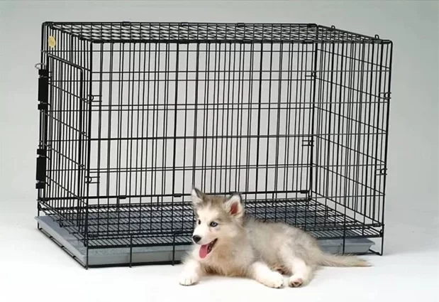 SHIJIAZHUANG TOPSTAR Highlights Versatile Applications and Innovations of Welded Mesh Making Machines